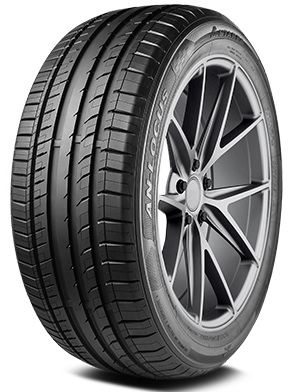 225/40R19 93W Antares Ingens-Locus