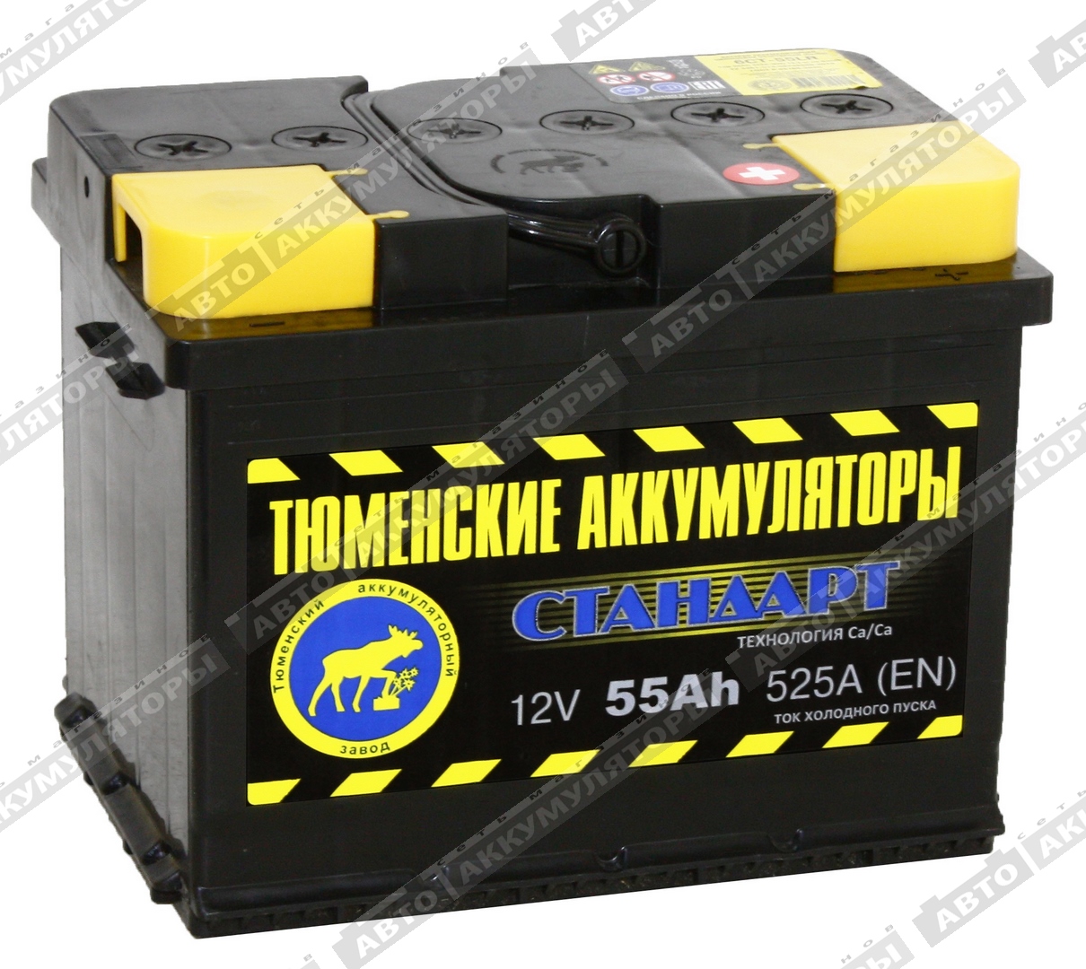 АКБ Тюмень 55 Ач о/п 6СТ-55LR Standard АКБ Тюмень 55 Ач о/п 6СТ-55LR Standard