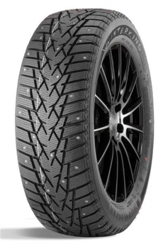 225/65R17 102T Double Star DW01