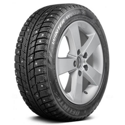 205/70R15 100T Delinte Winter WD52