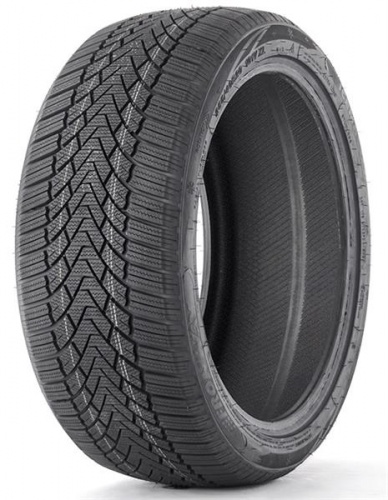 255/40R20 101V Fronway ICEMASTER I